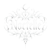 Noctelle